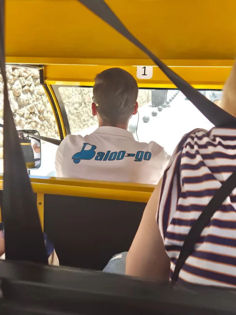 Conductor con polo de Baloo-Go visto de espaldas al volante de un tuk tuk amarillo